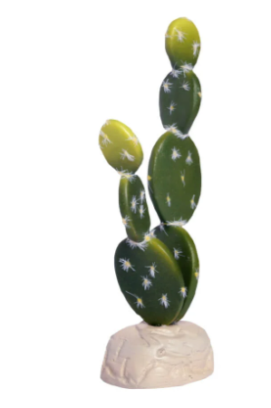 דקורציה צמח קקטוס עומד 
