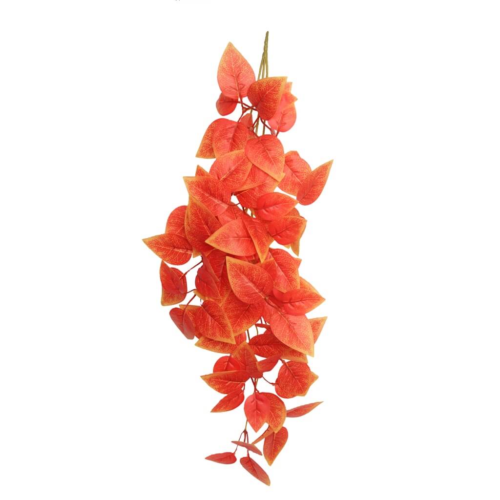 צמח "RED WISTERIA" גמיש נתלה לטרריום 60 ס"מ