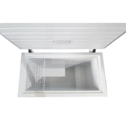 מקפיא ‏שוכב ECOEURO HARC-L300