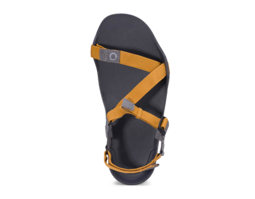 סנדלים לגברים - Xero Z-Trek Men - צהוב