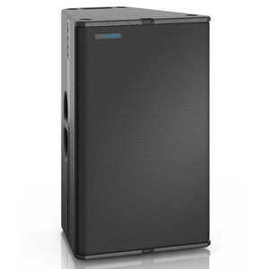רמקול פסיבי T24N מבית PRO AUDIO