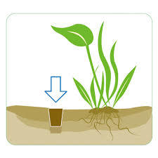 איסתא טבליות דשן מוצק 10 יח' Ista Water plant fertilizer
