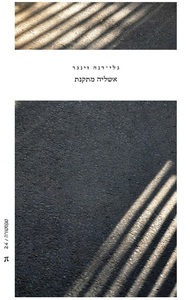 אשליה מתקנת - גלי־דנה זינגר פרדס