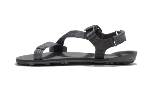 סנדלים לגברים אפור אספלט - Xero Z-Trail EV Men