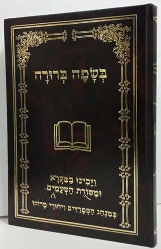 בשפה ברורה
