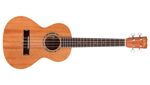Cordoba Guitars 15TM