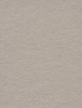 רקע נייר - Silver Birch 30 2.72X11