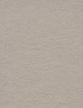 רקע נייר - Silver Birch 30 2.72X11