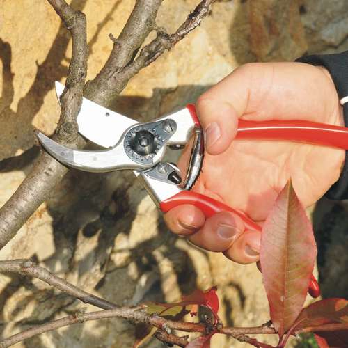 מזמרה ידנית פלקו 2 דגם קלאסי