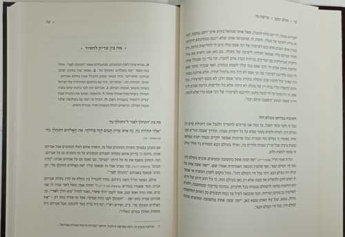 סולם יעקב ה