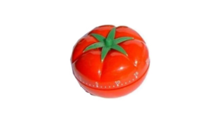 טיימר מכני