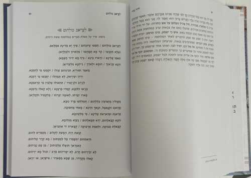 דוד בחירי