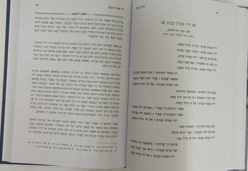 דוד בחירי