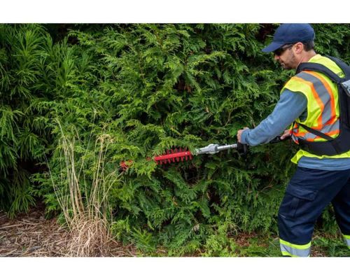 מגזמת גובה GREENWORKS PRO 80V דגם 99515 עם להבים כפולים 51 ס