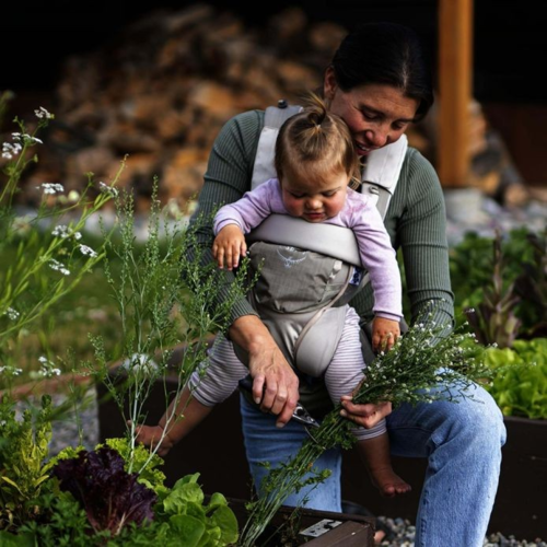 מנשא חזה לתינוק לטיולים POCO™ Soft Child Carrier LT - OSPREY