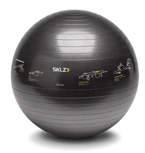כדור פילאטיס 65 ס"מ עם הדפס לתרגילים TRAINER BALL