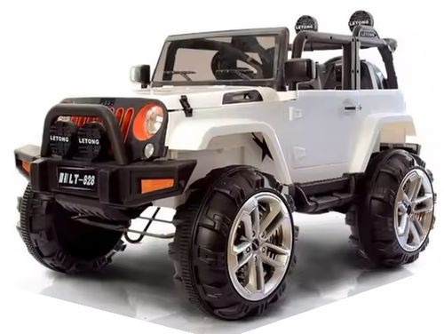 מכונית ממונעת וקרטינג לילדים: כל מה שצריך לדעת