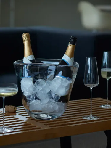 דלי שמפניה Celebrate Dual Champagne