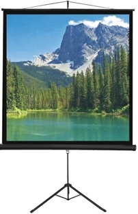 מסך חצובה למקרן 244X244 ס"מ T244