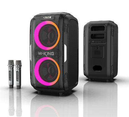 בידורית + 2 מיקרופונים  T9 PRO 120W