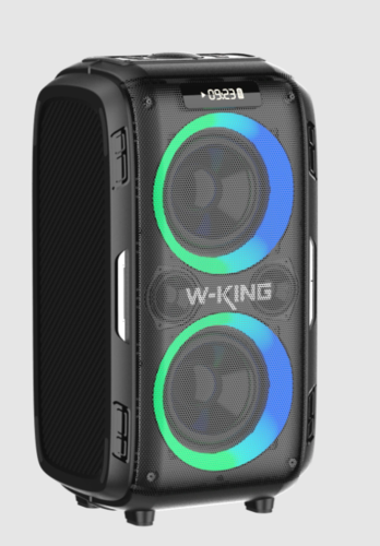 בידורית + 2 מיקרופונים  T9 PRO 120W