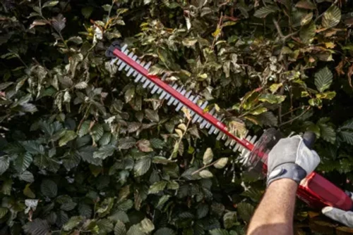 גוף גוזם גדר חיה חשמלי נטען 20V Brushless אורך להבים 45 ס