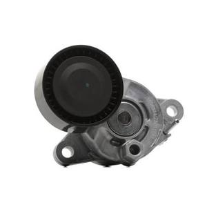 מותח רצועה פגו סיט ברלינגו 1.5D מ19