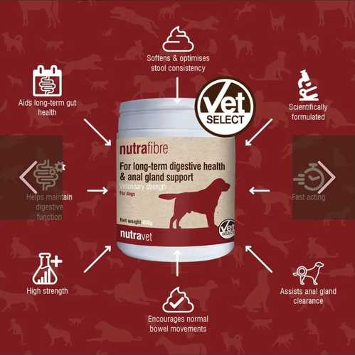 נוטרה פייבר  NUTRAFIBRE - סיבים תזונתיים 400 גר 