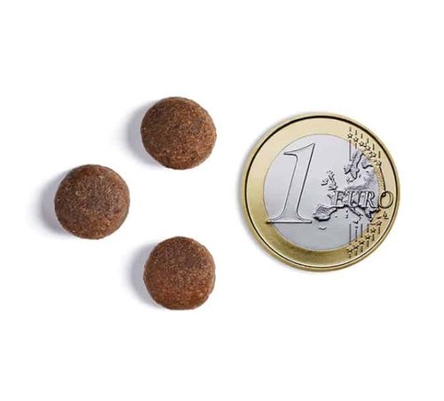 אמברוסיה ים תיכוני סרדין והרינג היפואלרגני 1.5 ק