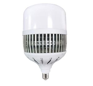 ליבון D.L E27 100W LED T150 חלבי LUXTEN