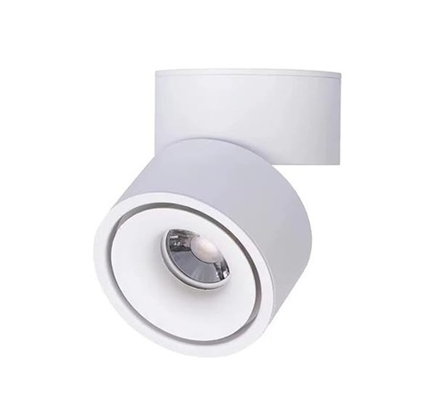 צילינדר מתכוונן CCT 12W Flex לבן
