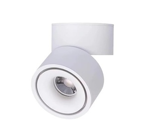 צילינדר מתכוונן CCT 12W Flex לבן