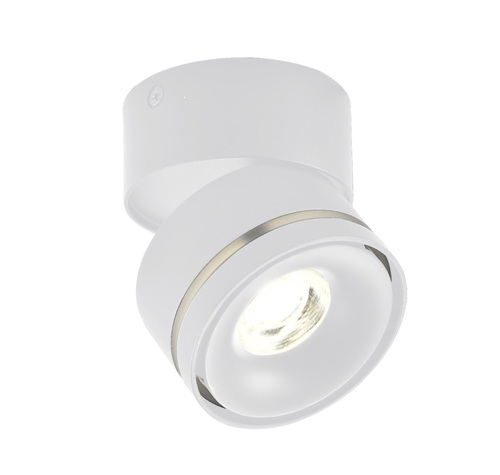 צילינדר מתכוונן CCT 12W Flex לבן (SHAPE-3)