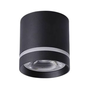 צילינדר CCT 12W LED שחור IG-42