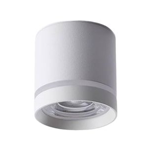 צילינדר CCT 12W LED לבן IG-42
