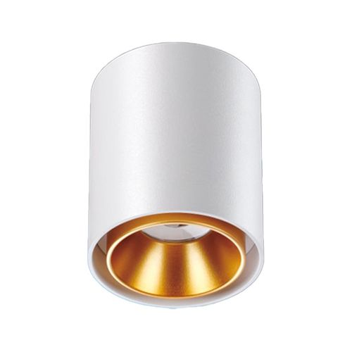 צילינדר CCT 10W LED לבן IG-42 (צורה-2)