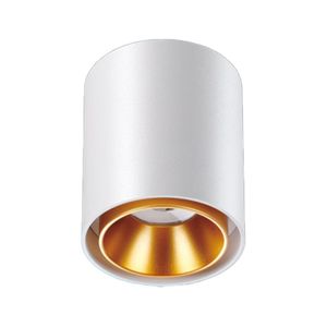 צילינדר CCT 10W LED לבן IG-42 (צורה-2)