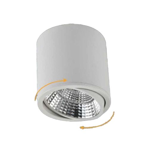 צילינדר מתכוונן CCT 20W LED לבן IG-45