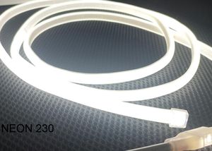 פס לד מוגן 100M) C.L 230V NEON 288LED)