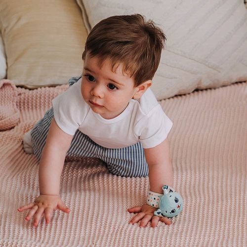 רעשן צמיד רך ונעים - חתול