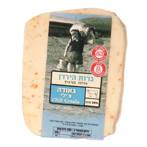 גאודה צילי