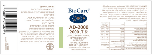 א.ד. 2000