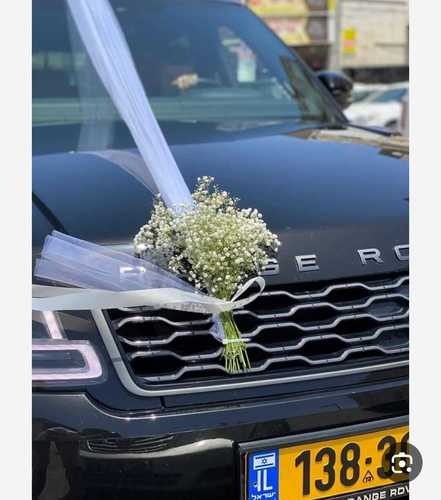 קישוט רכב לחתונה גיפסנית