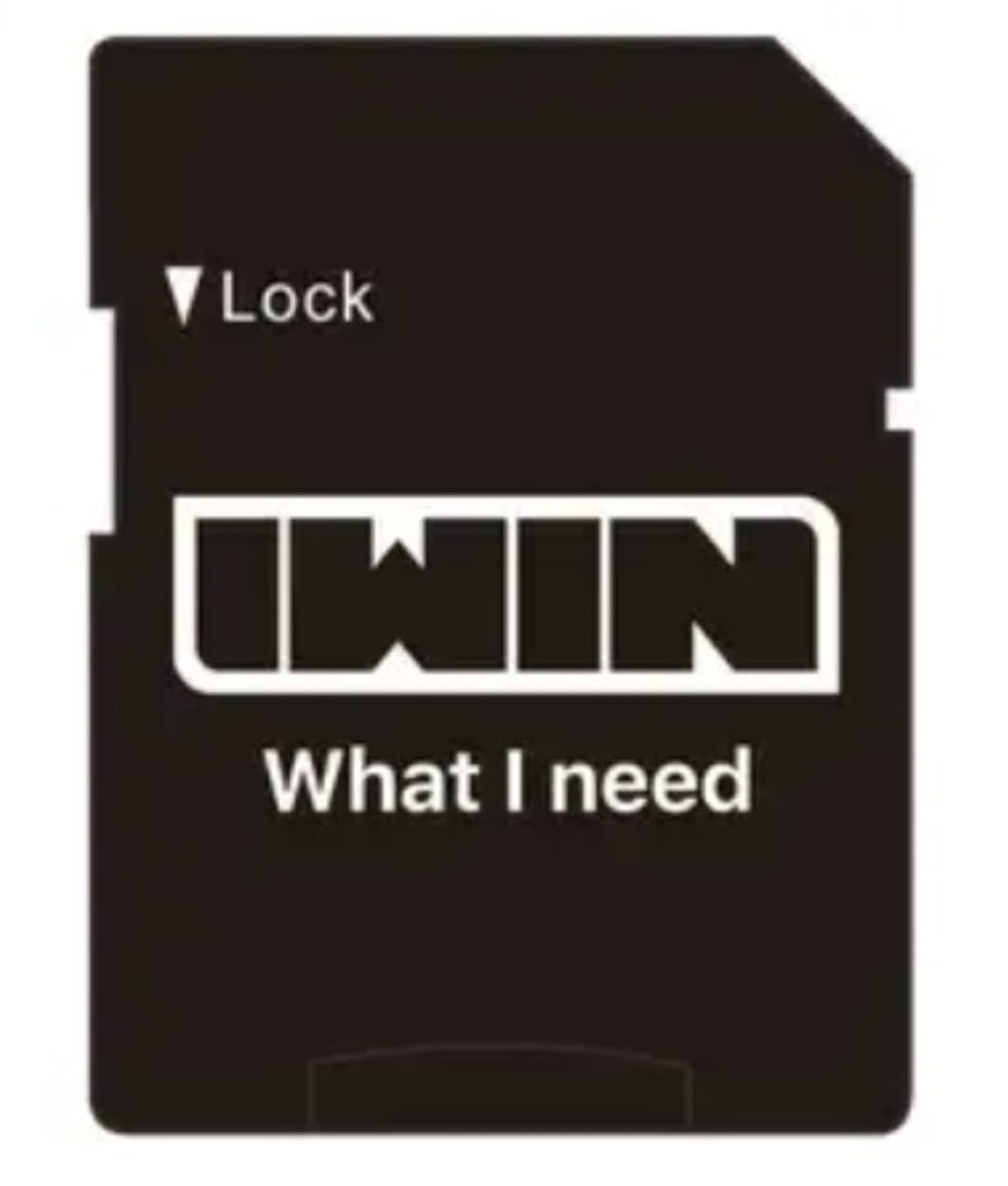 מתאם IWIN MICRO SD TO SD