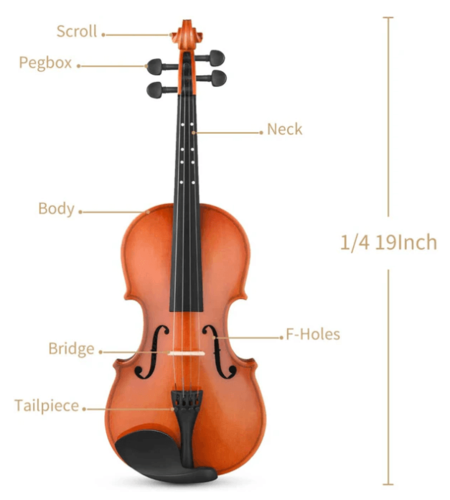 ערכת כינור EVA-2 1/4 מבית EASTAR