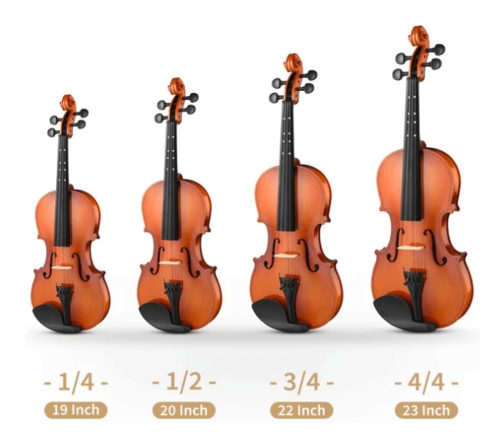 ערכת כינור EVA-2 1/4 מבית EASTAR