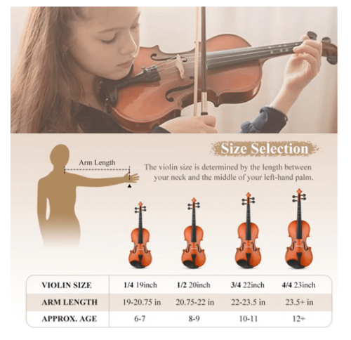 ערכת כינור EVA-2 1/4 מבית EASTAR