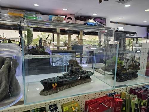 אקווריום מלבני קליר