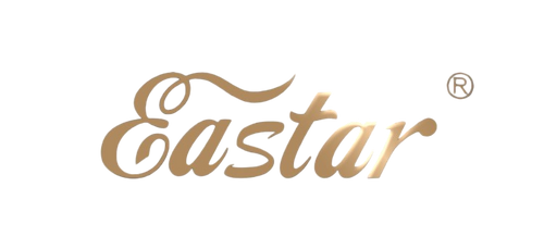 ערכת כינור EVA2 1/2 מבית EASTAR