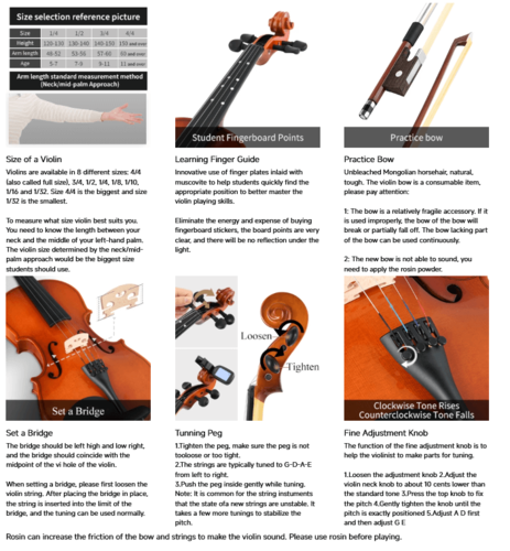 ערכת כינור EVA2 1/2 מבית EASTAR